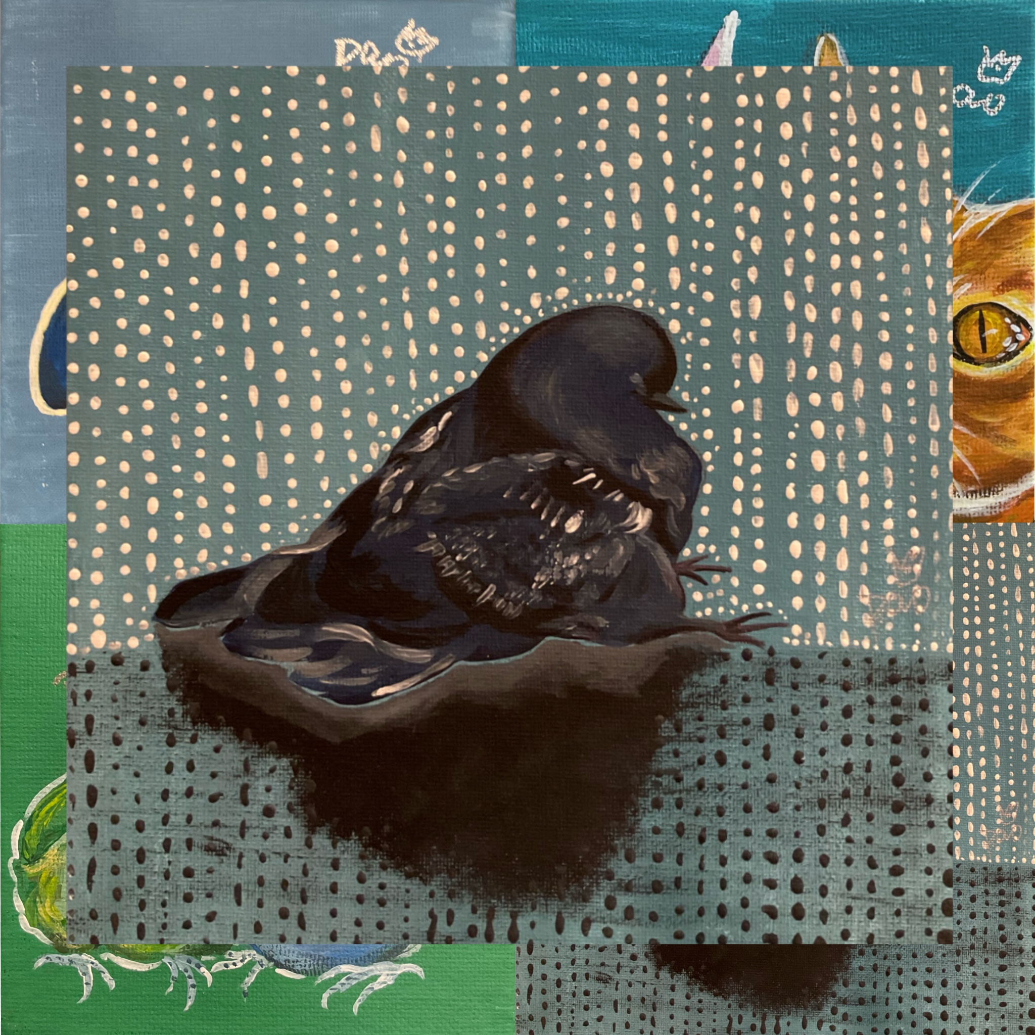 Animal sequence