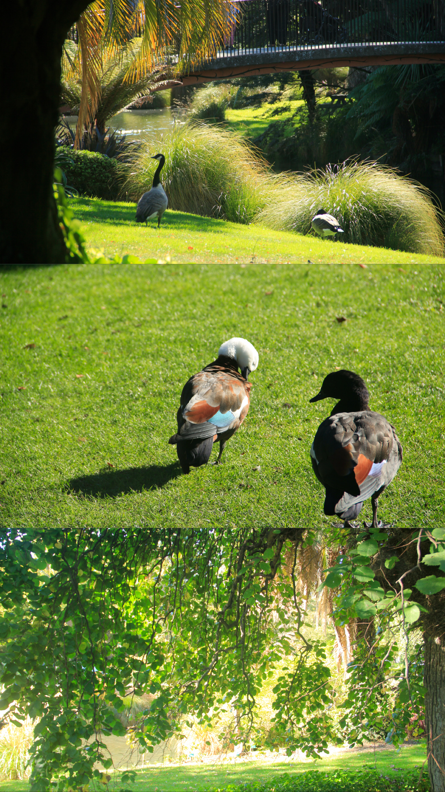 photography