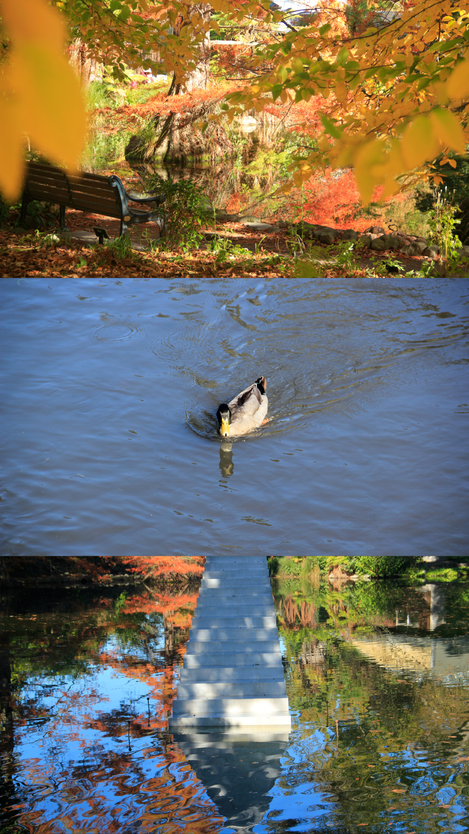 photography